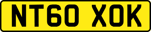 NT60XOK