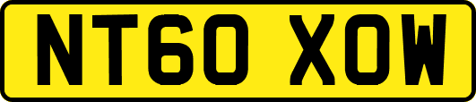 NT60XOW