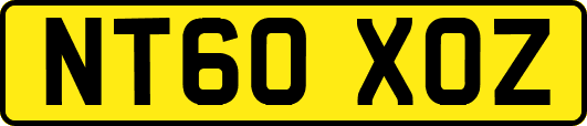 NT60XOZ