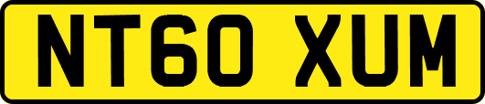 NT60XUM