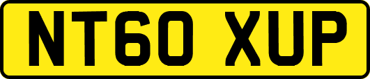 NT60XUP