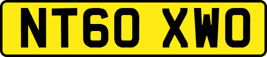 NT60XWO