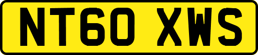 NT60XWS