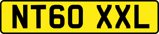 NT60XXL