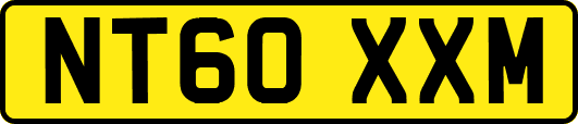 NT60XXM