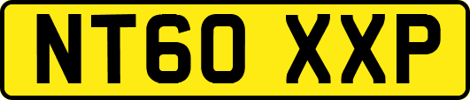 NT60XXP