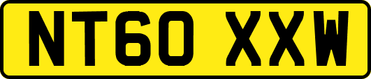 NT60XXW