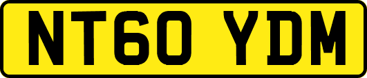 NT60YDM