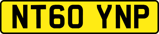 NT60YNP