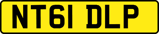 NT61DLP