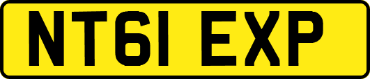 NT61EXP