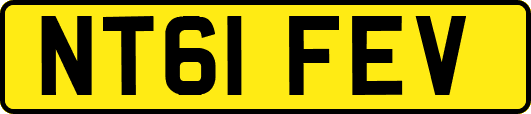 NT61FEV