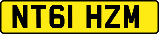 NT61HZM