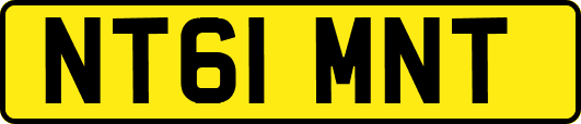 NT61MNT