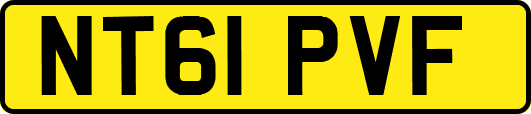 NT61PVF