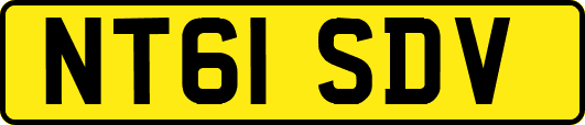 NT61SDV
