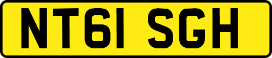 NT61SGH