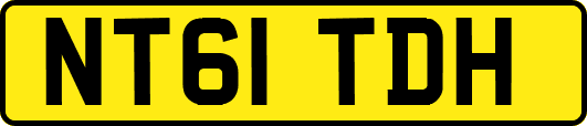 NT61TDH
