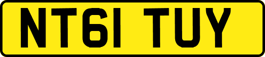 NT61TUY