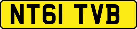 NT61TVB