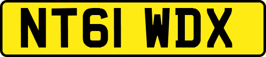 NT61WDX