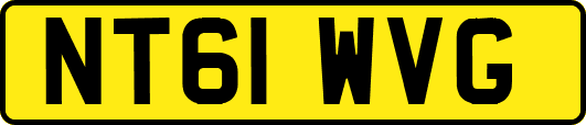NT61WVG