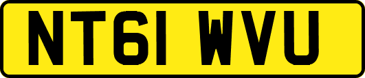 NT61WVU