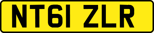 NT61ZLR