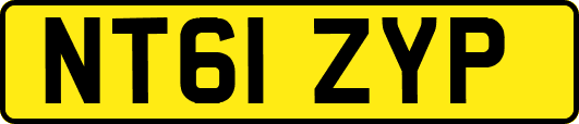 NT61ZYP