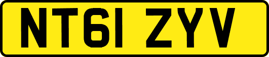 NT61ZYV