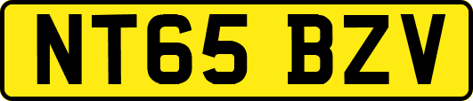 NT65BZV