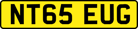NT65EUG