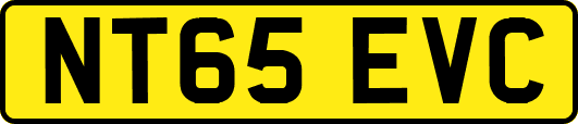 NT65EVC
