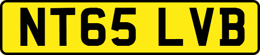 NT65LVB