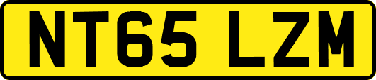 NT65LZM
