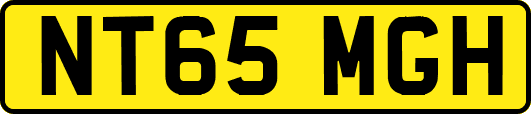 NT65MGH