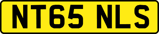 NT65NLS