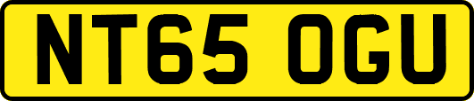 NT65OGU