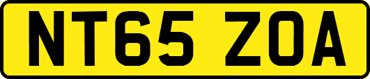 NT65ZOA