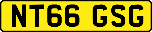 NT66GSG