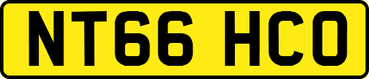 NT66HCO