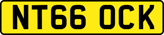 NT66OCK