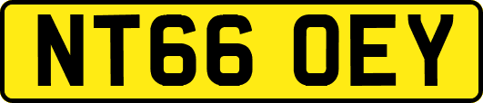 NT66OEY