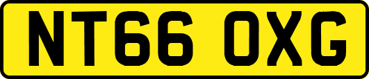 NT66OXG