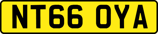 NT66OYA