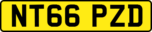 NT66PZD