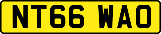 NT66WAO