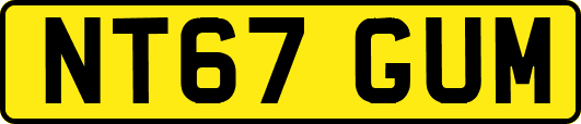 NT67GUM