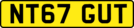 NT67GUT