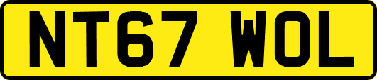 NT67WOL